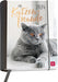 Für Katzenfreunde 2024 - Buchkalender - 144 Seiten