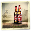 Mahn & Ohlerich Bier 0,33L Mehrweg Flasche.