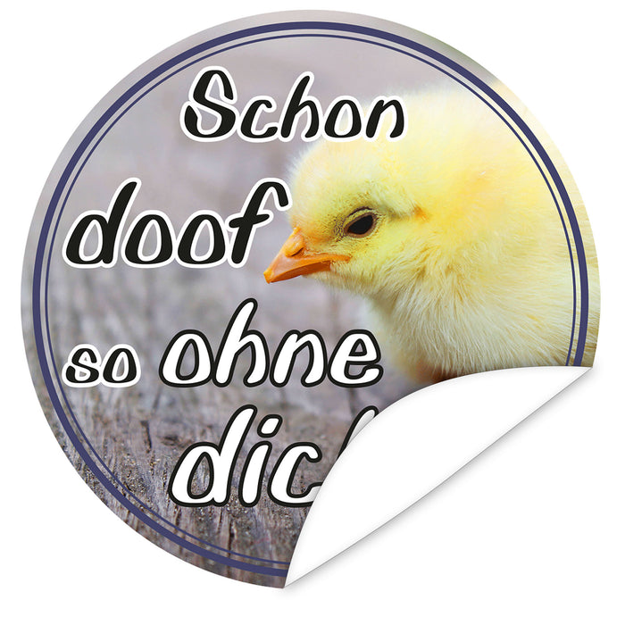 Aufkleber-Schon-doof-so-ohne-dich