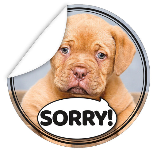 Aufkleber-Entschuldigung--Sorry