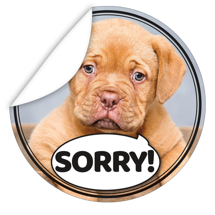 Aufkleber-Entschuldigung--Sorry