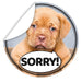 Aufkleber-Entschuldigung--Sorry