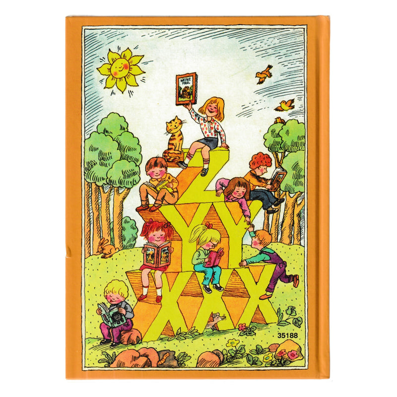 Meine Fibel Lesebuch 1. Klasse - 143 Seiten zur Förderung der Lesekompetenz
