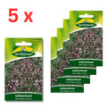 5x Quedlinburger Saatgut (Schleierkraut Rose)