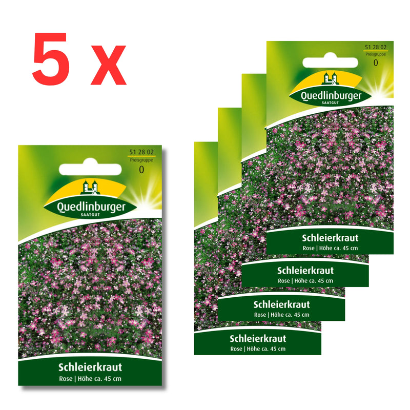 5x Quedlinburger Saatgut (Schleierkraut Rose)