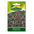 Quedlinburger Saatgut (Schleierkraut Rose)
