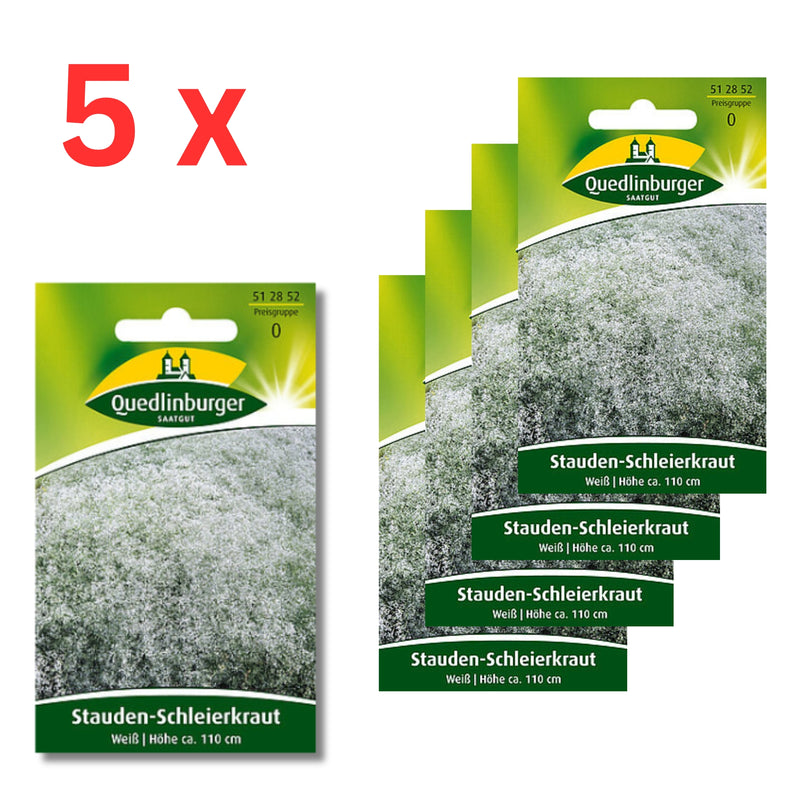 5x Quedlinburger Saatgut (Stauden-Schleierkraut Weiß)