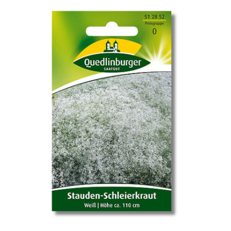 5x Quedlinburger Saatgut (Stauden-Schleierkraut Weiß)