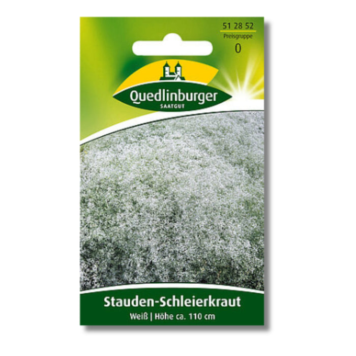 5x Quedlinburger Saatgut (Stauden-Schleierkraut Weiß)