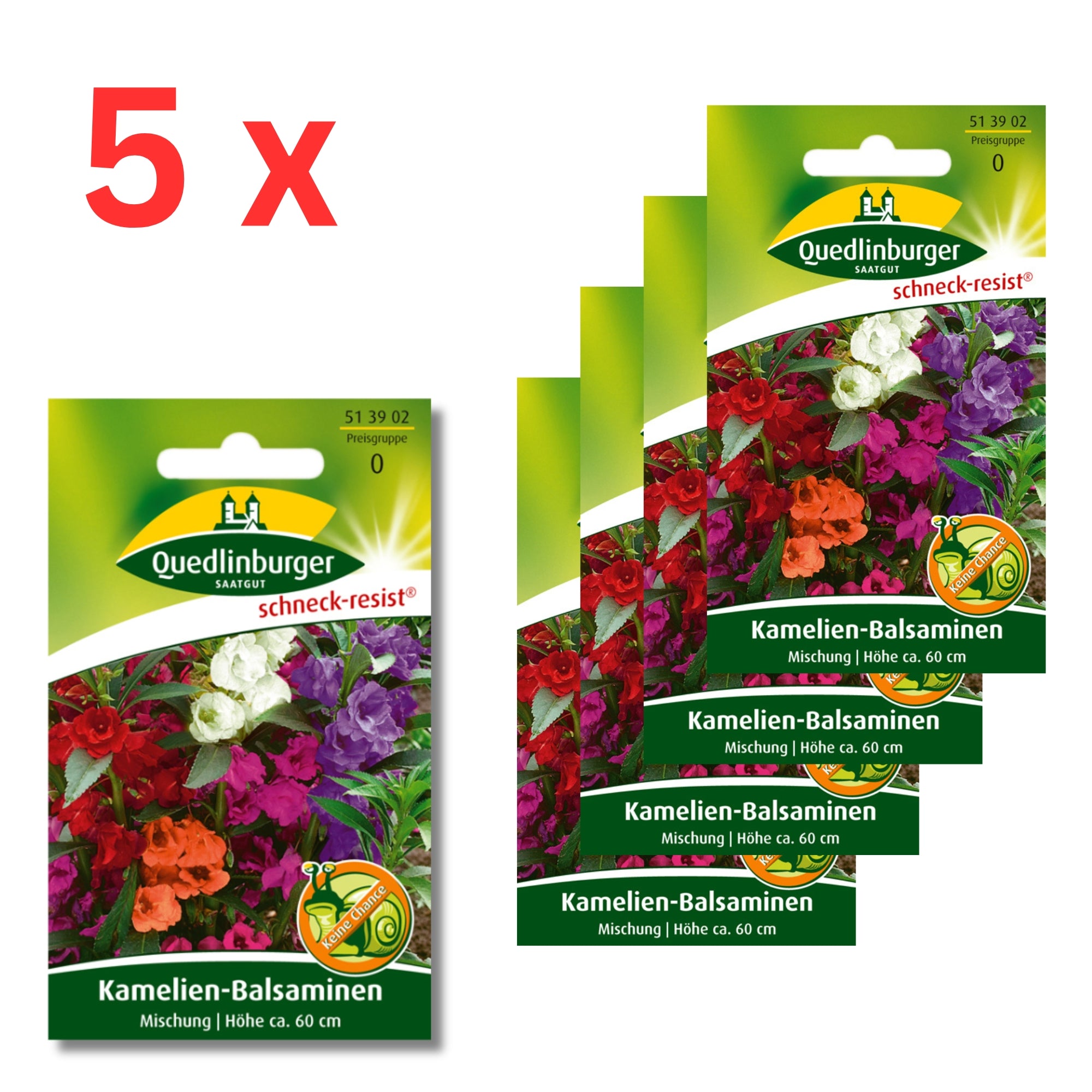 5x Quedlinburger Saatgut (Kamelien-Balsaminen Mischung)