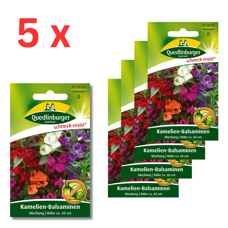 5x Quedlinburger Saatgut (Kamelien-Balsaminen Mischung)