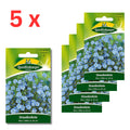 5x Quedlinburger Saatgut (Staudenlein Blau)