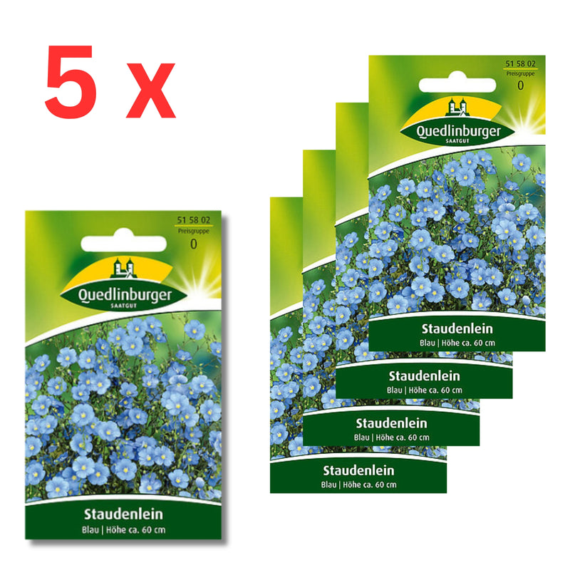 5x Quedlinburger Saatgut (Staudenlein Blau)