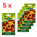5x Quedlinburger Saatgut (Schöngesicht Mischung hoher Sorten)