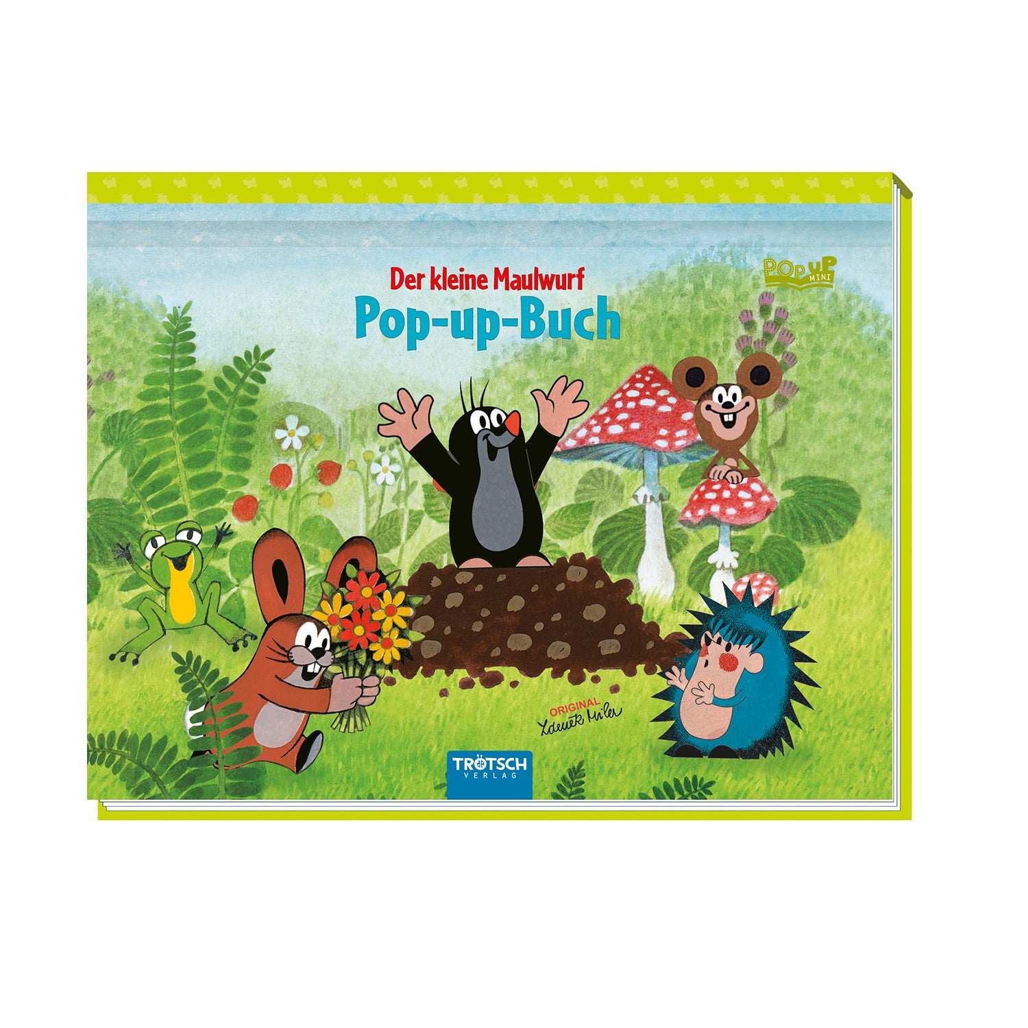 Mini-Pop-up-Buch-Maulwurf