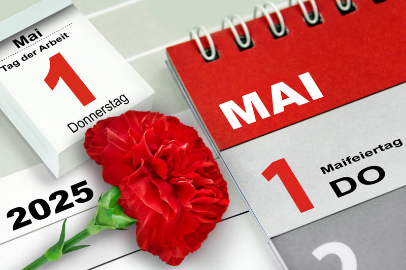 10x Rote Nelken zum Frauentag, 1. Mai, Muttertag