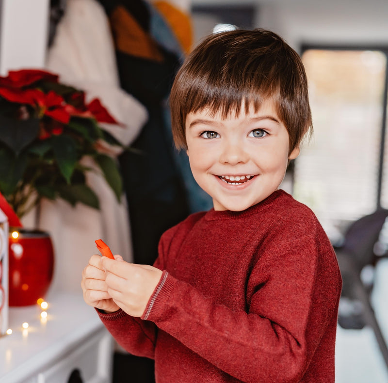 Adventskalender Der kleine Maulwurf – 24 Türchen Schokoladengenuss 50g