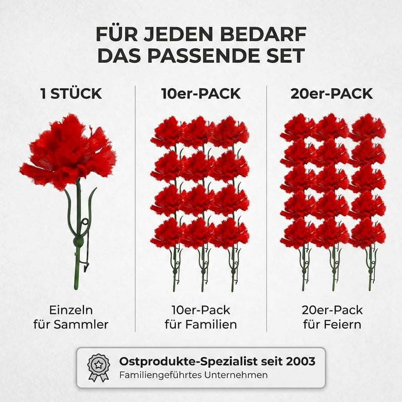 10x Rote Nelken zum Frauentag, 1. Mai, Muttertag