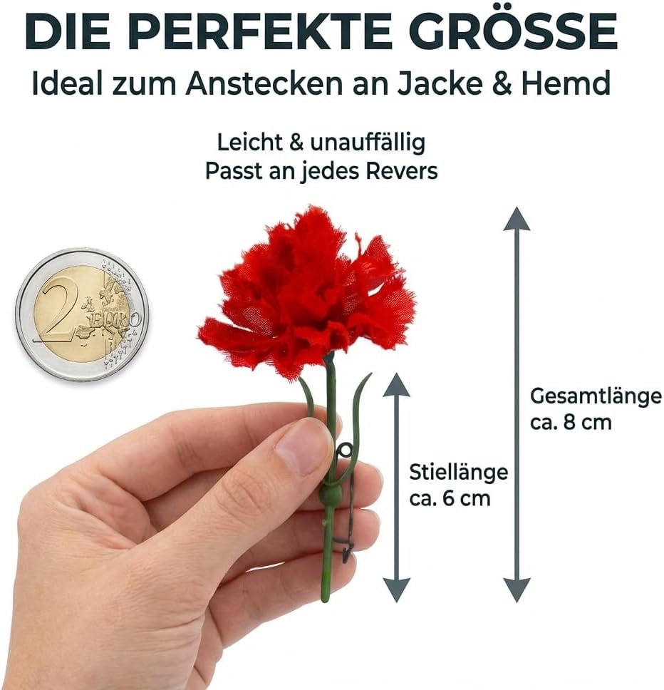 10x Rote Nelken zum Frauentag, 1. Mai, Muttertag