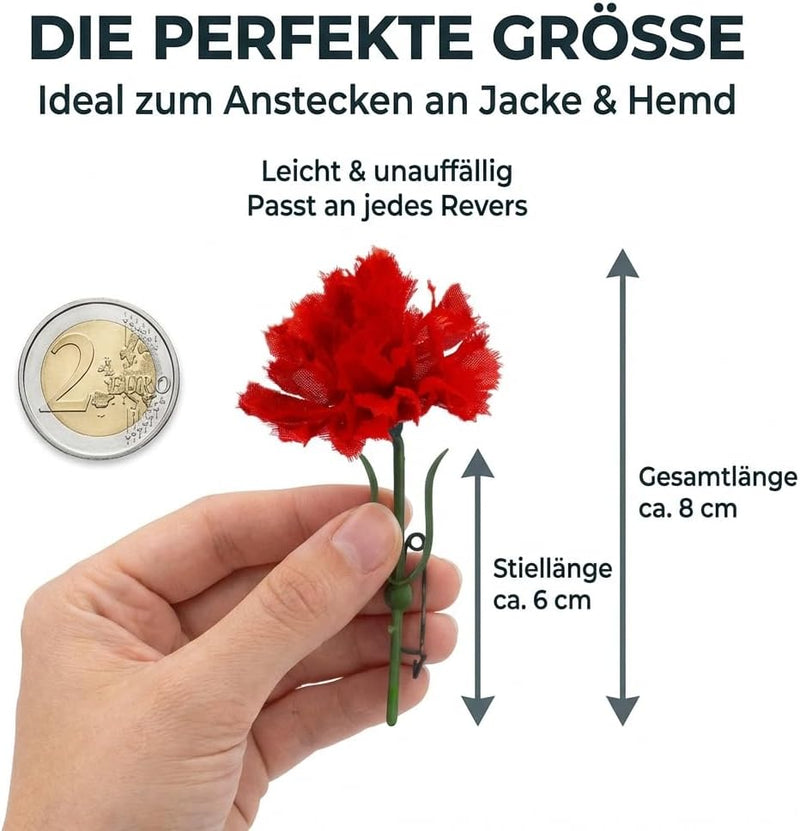 10x Rote Nelken zum Frauentag, 1. Mai, Muttertag