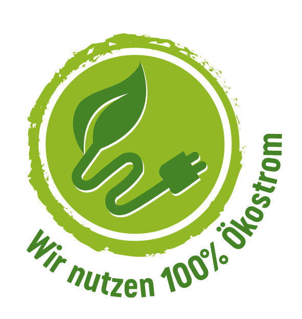 Dreistern Schmorkohl mit Kartoffeln und Gehacktem 800g