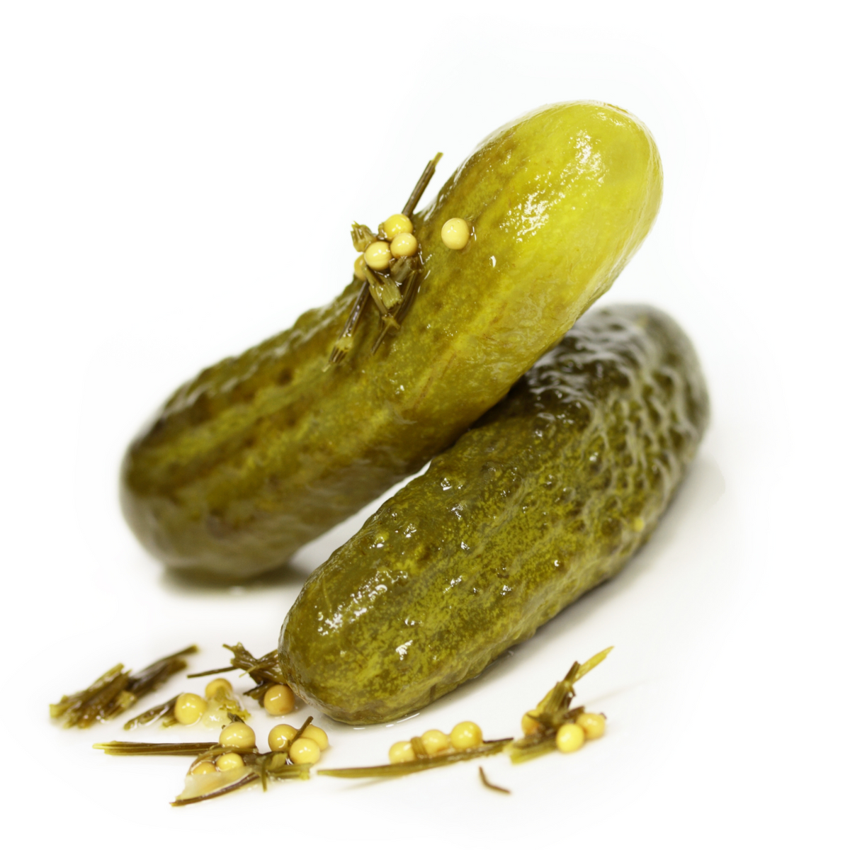 Get One! Spreewälder Gewürzgurke in der Dose – 1 große Gurke, 100 g