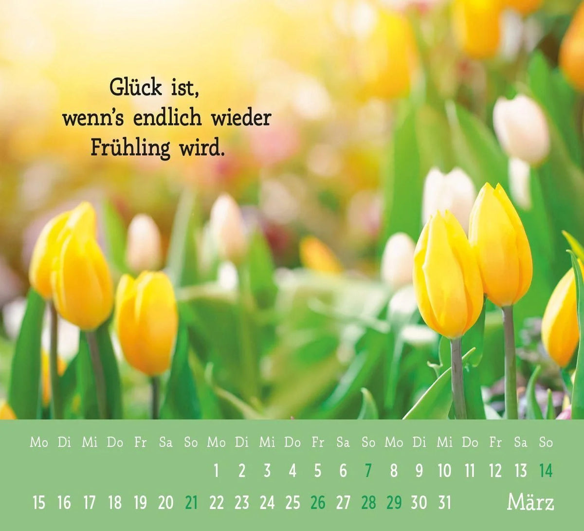 Der kleine Glückskalender 2027 – Fröhlicher Minikalender mit herzigen Zitaten - 26 Blätter