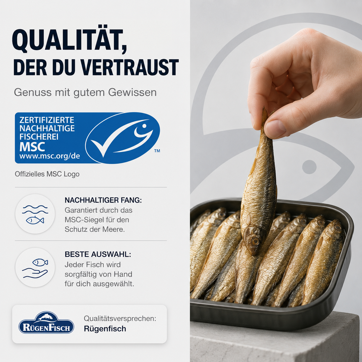 RügenFisch Kieler Sprotten in Pflanzenöl – Geräucherte Sprotten, handverlesen, MSC-zertifiziert 106g