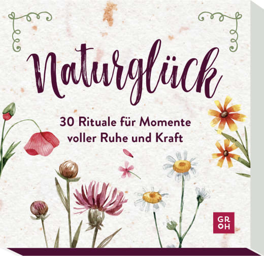 Naturglück - 30 Rituale für Momente voller Ruhe und Kraft - Non-Book in Umverpackung