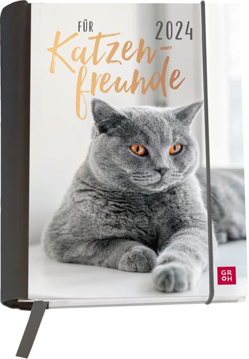 Für Katzenfreunde 2024 - Buchkalender - 144 Seiten