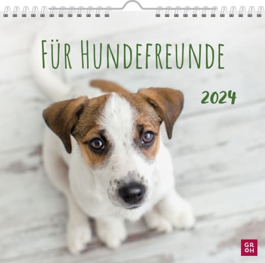 Für Hundefreunde 2024 - Wandkalender - 12 Seiten