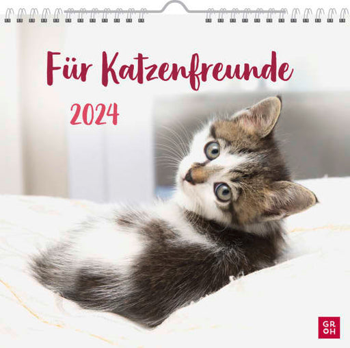 Für Katzenfreunde 2024 - Wandkalender - 12 Seiten