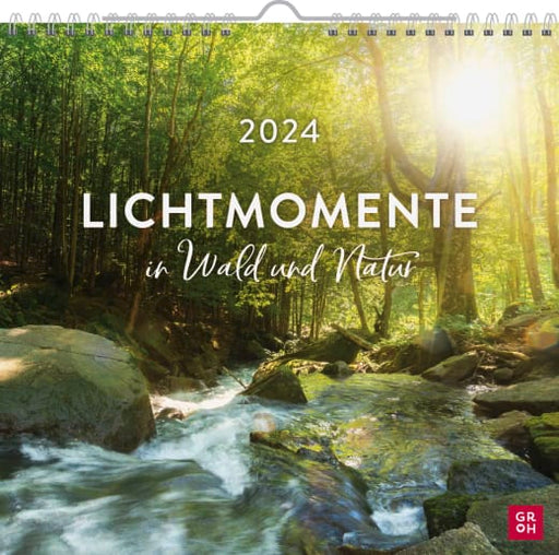 Lichtmomente in Wald und Natur 2024 - Wandkalender - 12 Seiten