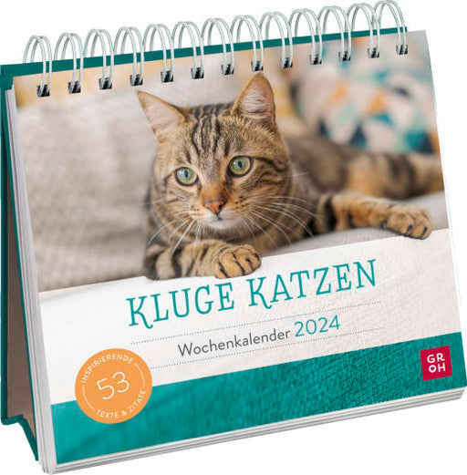 Kluge Katzen 2024 - Aufstellkalender - 108 Seiten