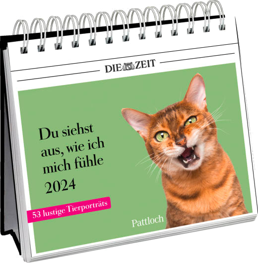 Du siehst aus, wie ich mich fühle 2024 - Aufstellkalender