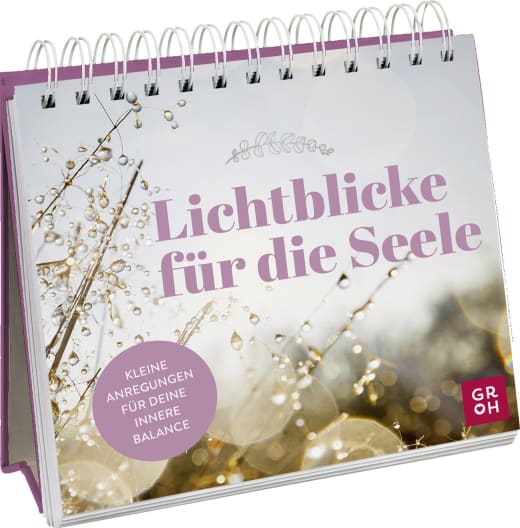 Lichtblicke für die Seele - Spiralaufsteller - 144 Seiten