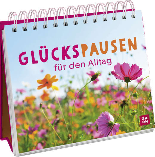 Buch: Glückspausen für den Alltag