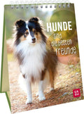 Hunde sind die besten Freunde - Spiralaufsteller - 48 Seiten