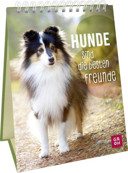 Hunde sind die besten Freunde - Spiralaufsteller - 48 Seiten