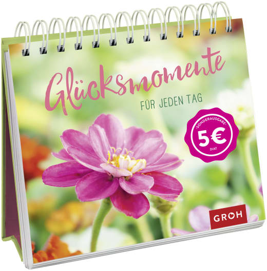 Glücksmomente für jeden Tag - Spiralaufsteller - 144 Seiten