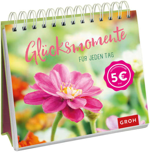 Glücksmomente für jeden Tag - Spiralaufsteller - 144 Seiten