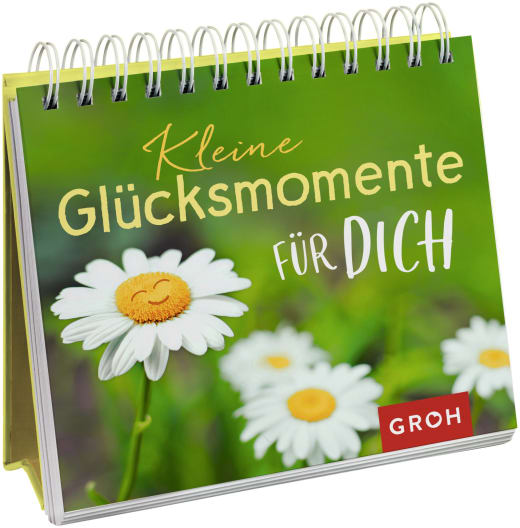 Kleine Glücksmomente für dich - Spiralaufsteller - 144 Seiten