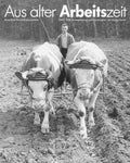 Buch - Eurich: Arbeitszeit. Bäuerliche Berufs- und Lebensbilder 1948958, 80 Seiten