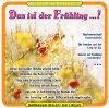 Das ist der Frühling ... !