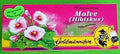 Goldmännchen Malvetee (Hibiskus)