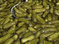 Gurkengewürz