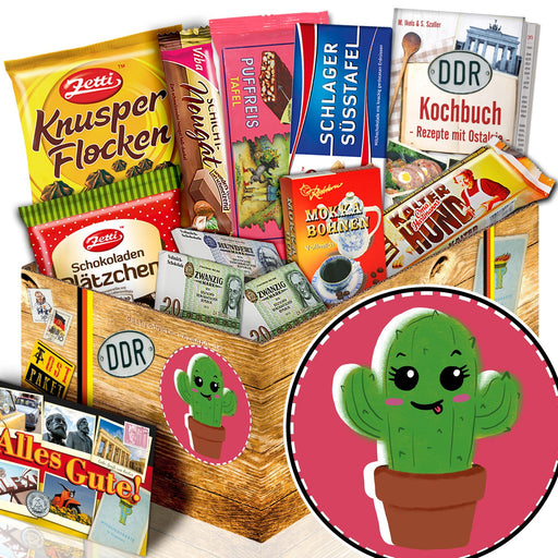 Kaktus - Geschenkset Ostpaket "Schokoladenbox M" - Ossiladen I Ostprodukte Versand