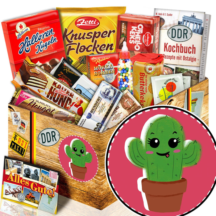 Kaktus - Süßigkeiten Set DDR L - Ossiladen I Ostprodukte Versand