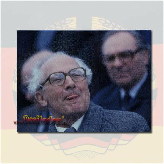 "Magnet "Honni"