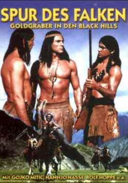 Spur des Falken (DVD)